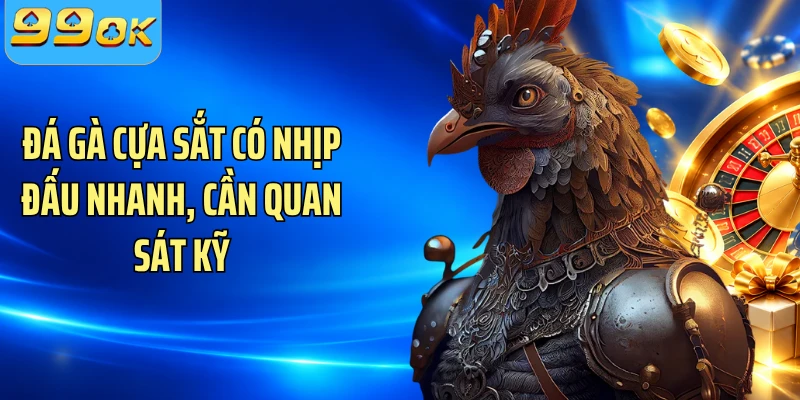 Đá gà cựa sắt có nhịp đấu nhanh, cần quan sát kỹ